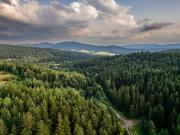 Apartament w Górach Beskid Niski Apartament w Górach Beskid Niski