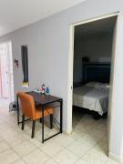 Top San Luis Potosí