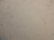 Top Santa Bárbara dʼOeste