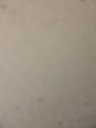 Top Santa Bárbara dʼOeste