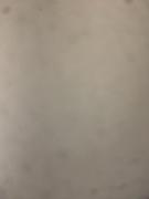 Top Santa Bárbara dʼOeste