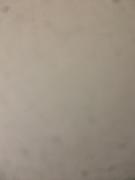 Top Santa Bárbara dʼOeste