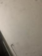 Top Santa Bárbara dʼOeste