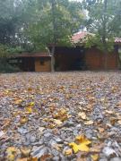 Koliba Dimitrijević