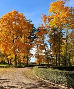 Top Żelazowa Wola Top Żelazowa Wola