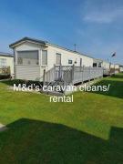 Golden palms meadow view