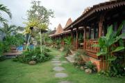 Top Ubud
