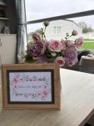 The Restful Rose at Chichester Lakeside