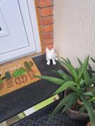 Top Jošanička Banja