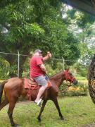 Top Chame