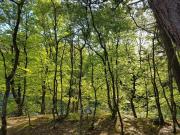 Top Hedensted - Nordjylland