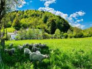 Top Fougax-et-Barrineuf