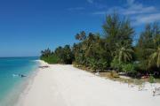 Top Pulau Palambakbesar