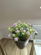 Family Apartments Zemlinsi 2