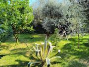 MAREMONTI alloggio turistico