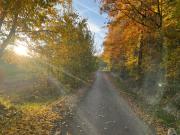 Top Ochotnica Dolna Top Ochotnica Dolna