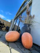 Top Korlino Top Korlino