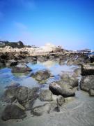 Top El Quisco Top El Quisco