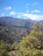 Anastasi Tiny Homes- Mountain Views, Garden & Terrace, Pet Friendly