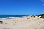 Top Jeffreys Bay