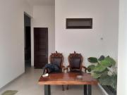 Top Citaringgul 1