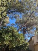 Petit mazet proche de la mer