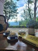 Top Almora