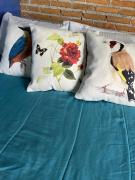 Top Cornélio Procópio