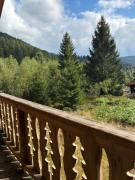 Chalet cosy nature gerardmer jacuzzi