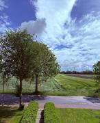 Top Risum-Lindholm Top Risum-Lindholm