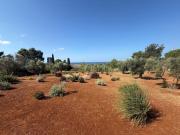 Top Marina di Pescoluse