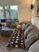 Top Radawa Top Radawa