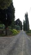 Top San Gimignano