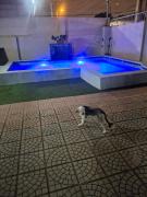 Spacious apartment on the second floor