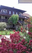 Top Obzor