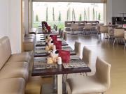 Top San Luis Potosí