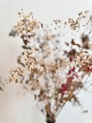 Chez Marc, avec vue verdoyante et parking privé