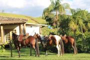 Top Silveiras