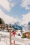 Top Wengen