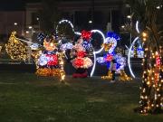 Top Boscoreale Top Boscoreale