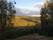 Top Algarrobo Top Algarrobo