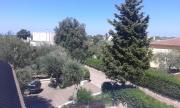 Top Santa Lucia