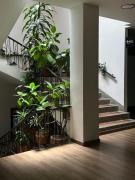 Top Santuario Top Santuario