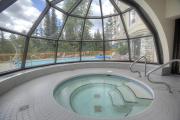 Top Whistler