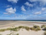 Top Skagen