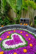Top Ubud