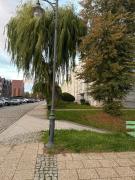 Top Malbork Top Malbork