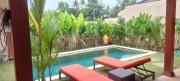 Wonderful private villa with pool with beautiful views of the rice fields