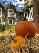 Apartamenty Marszallówka Apartamenty Marszallówka