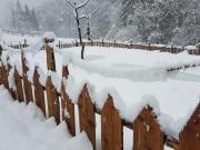 Top San Pancrazio dʼUltimo Top San Pancrazio dʼUltimo